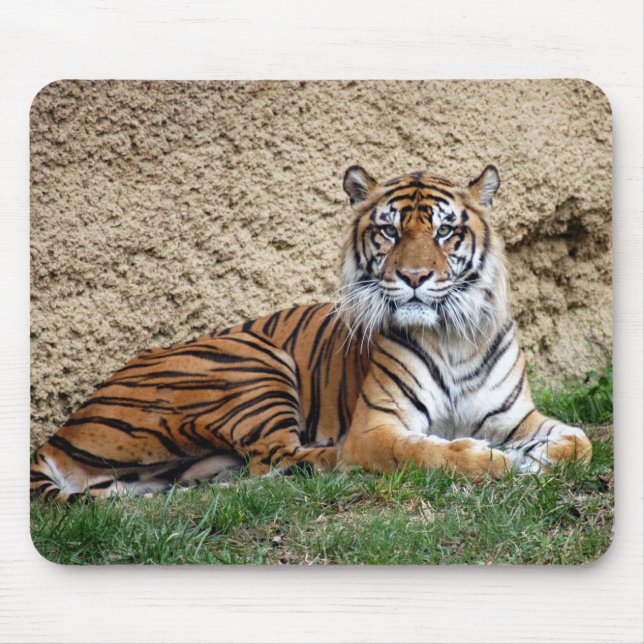 Tapis De Souris tigre 7 de sumatran (Devant)