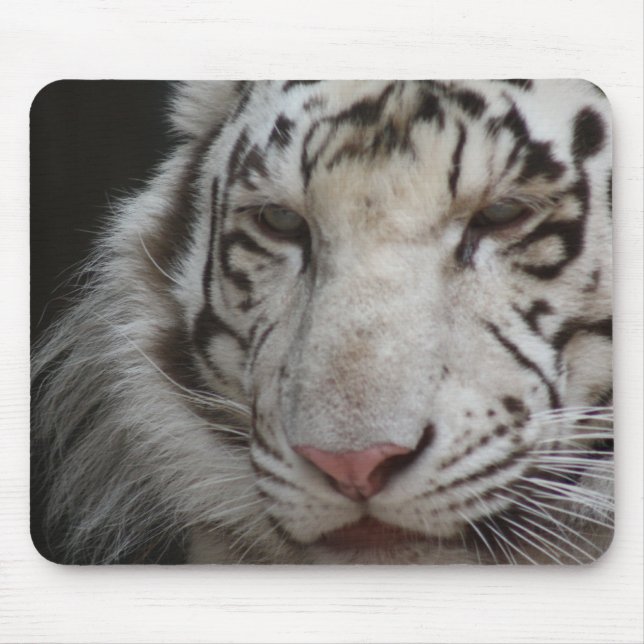 Tapis De Souris Tigre blanc (Devant)