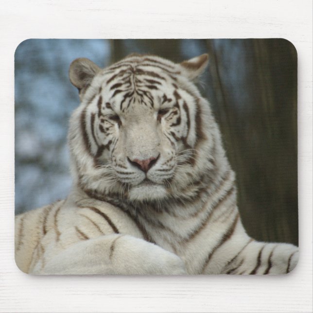 Tapis De Souris Tigre blanc (Devant)