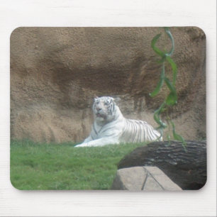 Tapis De Souris Tigre blanc