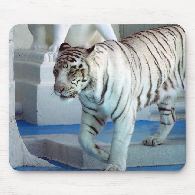 Tapis De Souris Tigre blanc (Devant)