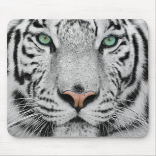 Tapis De Souris Tigre blanc