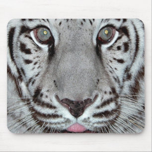 Tapis De Souris Tigre blanc