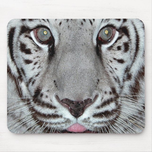 Tapis De Souris Tigre blanc (Devant)