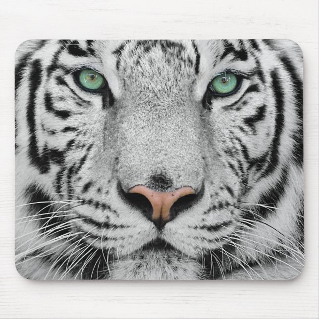 Tapis De Souris Tigre blanc (Devant)