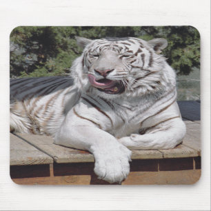 Tapis De Souris Tigre blanc 10 Mousepad