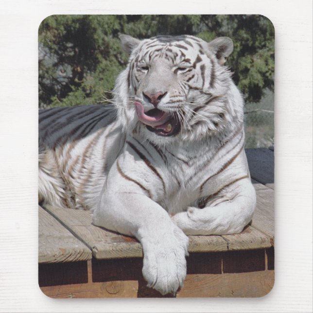 Tapis De Souris Tigre blanc 10 Mousepad (Devant)