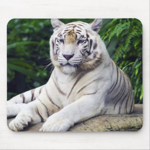 Tapis De Souris Tigre blanc 1 Mousepad