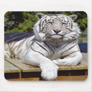 Tapis De Souris Tigre blanc 9 Mousepad