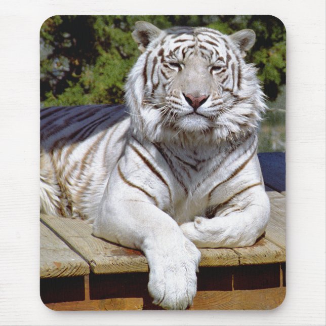 Tapis De Souris Tigre blanc 9 Mousepad (Devant)
