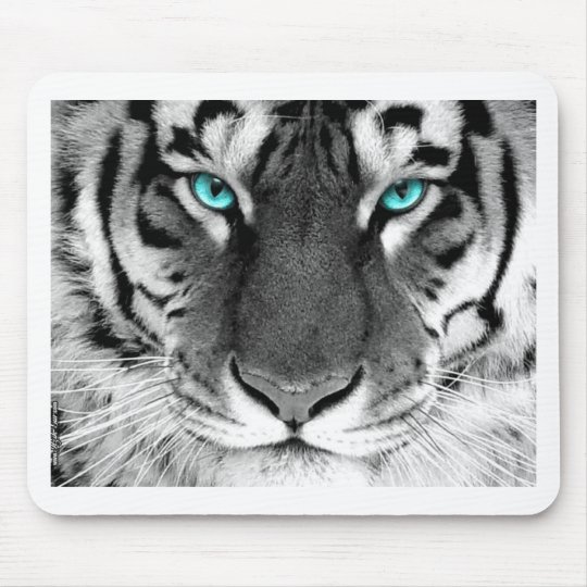 Tapis De Souris Tigre Blanc Noir Zazzle Fr