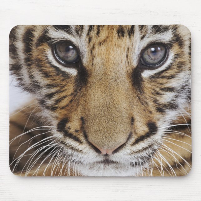 Tapis De Souris Tigre CUB (Devant)