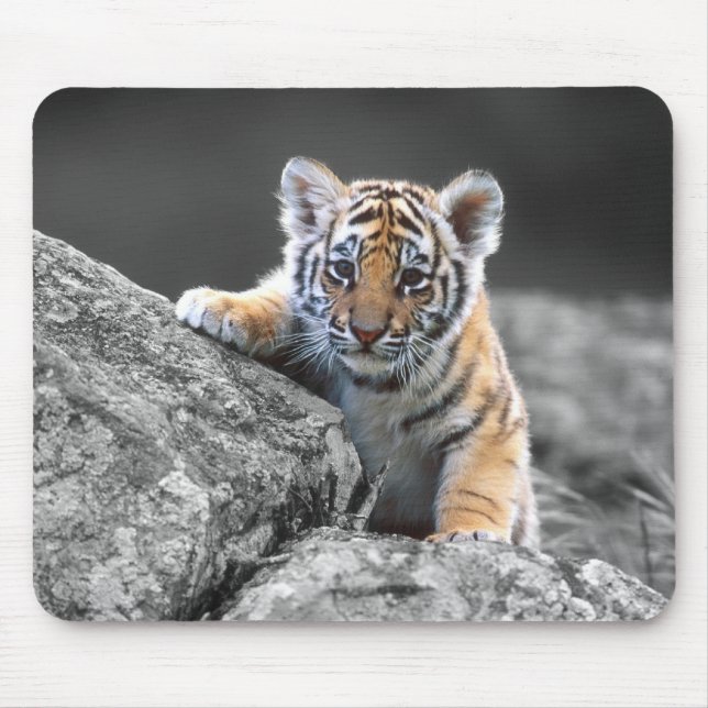 Tapis De Souris Tigre CUB adorable Mousepad (Devant)
