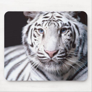 Tapis De Souris Tigre de Bengale blanc Mousepad