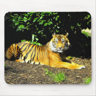 Tapis De Souris Tigre de Sumatra