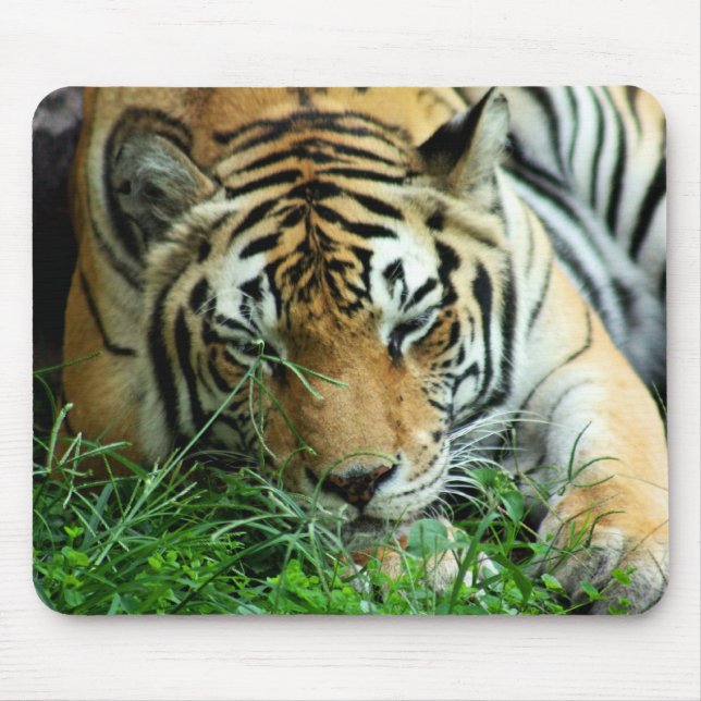 Tapis De Souris Tigre dormant dans l'herbe Mousepad (Devant)