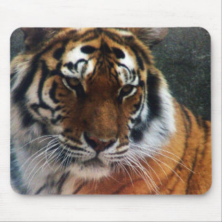 Tapis De Souris Tigre et souris…