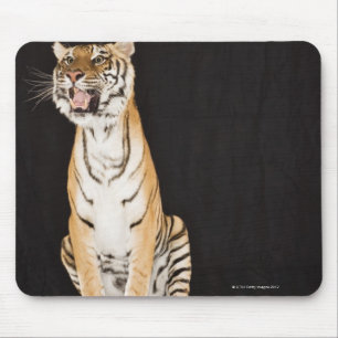 Tapis De Souris Tigre hurlant