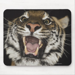 Tapis De Souris Tigre hurlant 2