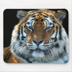 Tapis De Souris Tigre majestueux de Sumatran