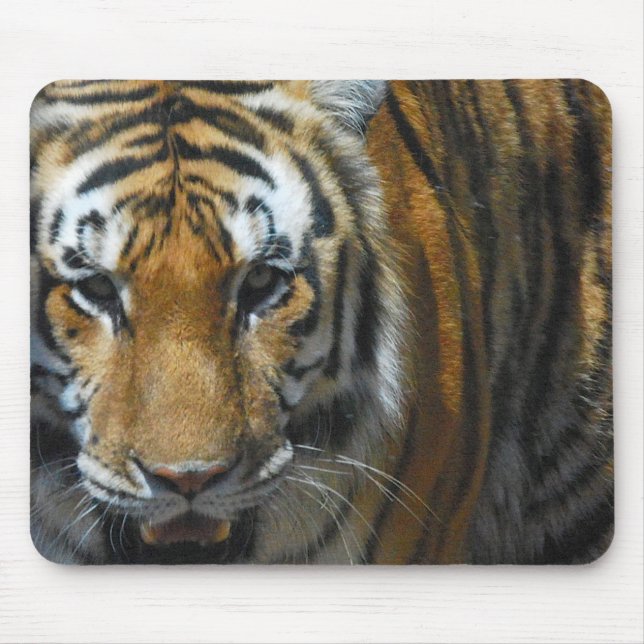 Tapis De Souris Tigre Mousepad (Devant)