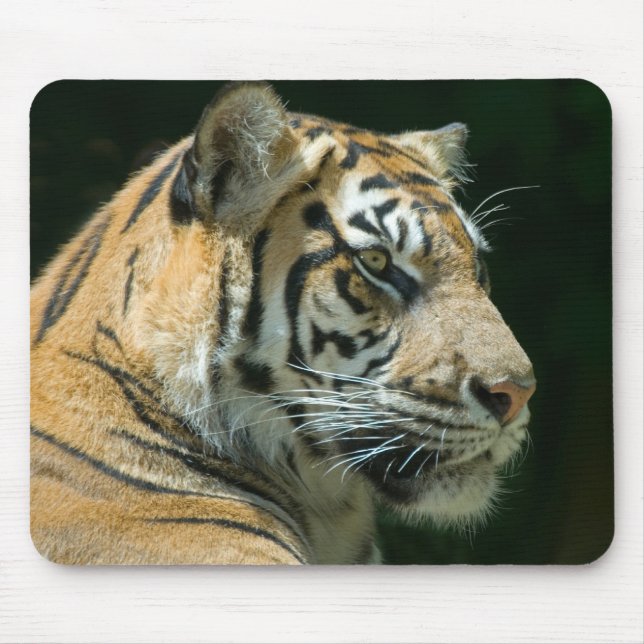 Tapis De Souris Tigre Mousepad de Sumatran (Devant)