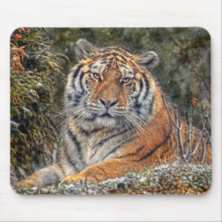 Tapis De Souris Tigre Mousepad royal