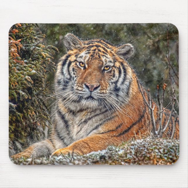 Tapis De Souris Tigre Mousepad royal (Devant)