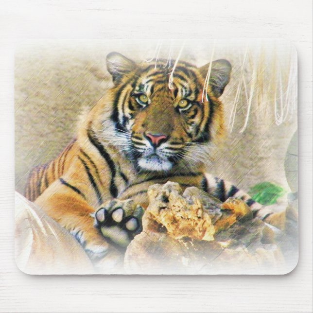 Tapis De Souris Tigre, Recherche_ (Devant)