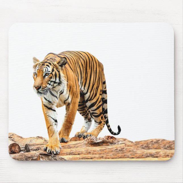 Tapis De Souris Tigre sauvage sur un journal (Devant)
