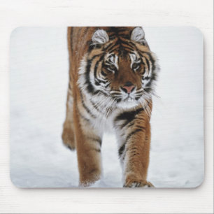 Tapis De Souris Tigre sibérien dans la neige