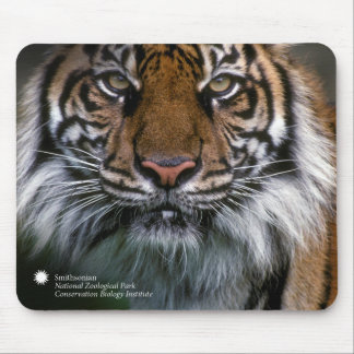 Tapis De Souris Tigre Soyono de Smithsonien | Sumatran