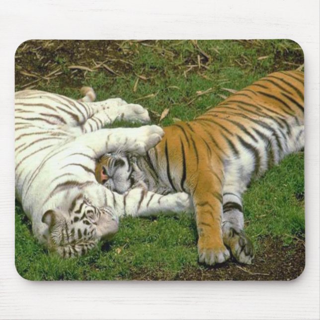 Tapis De Souris Tigres Mousepad (Devant)