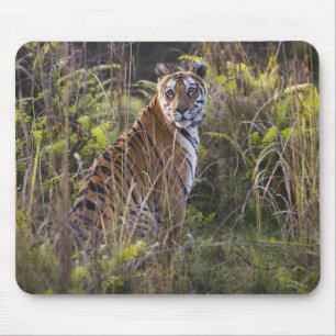 Tapis De Souris Tigresse du Bengale dans les hautes herbes, essaya