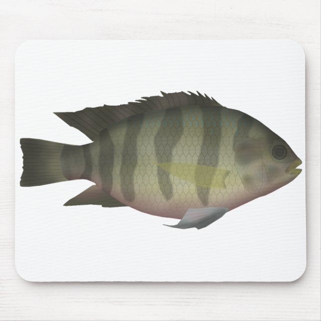 Tapis De Souris Tilapia (Devant)