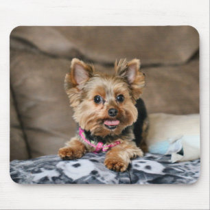 Tapis De Souris Tiny dynamo