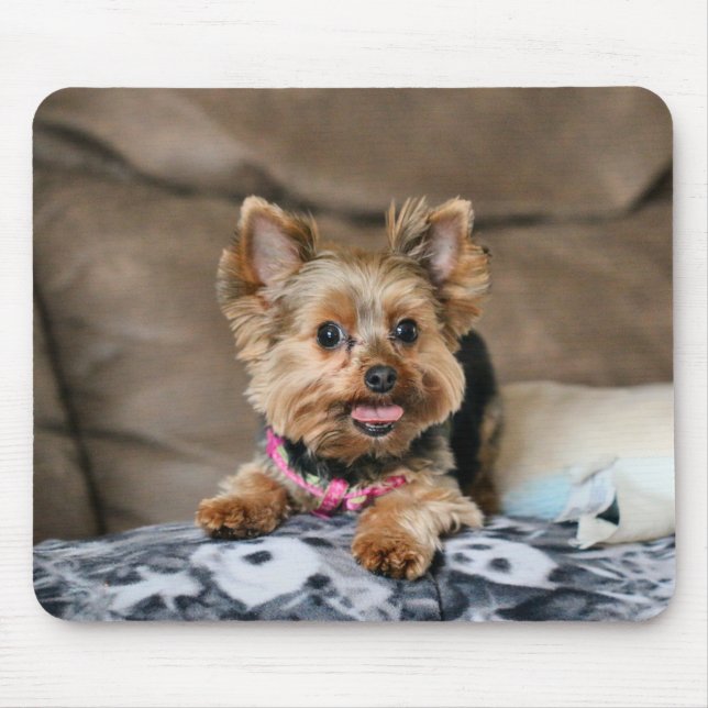 Tapis De Souris Tiny dynamo (Devant)