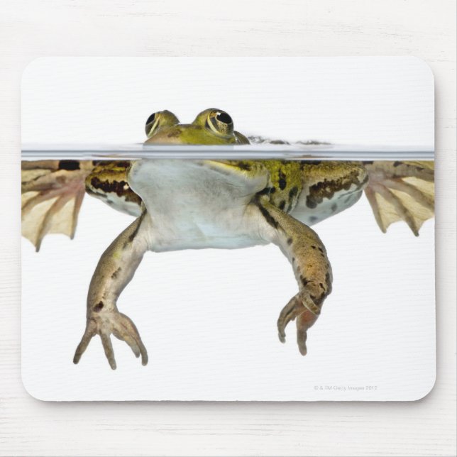 Tapis De Souris Tir d'une grenouille comestible surfacée devant un (Devant)