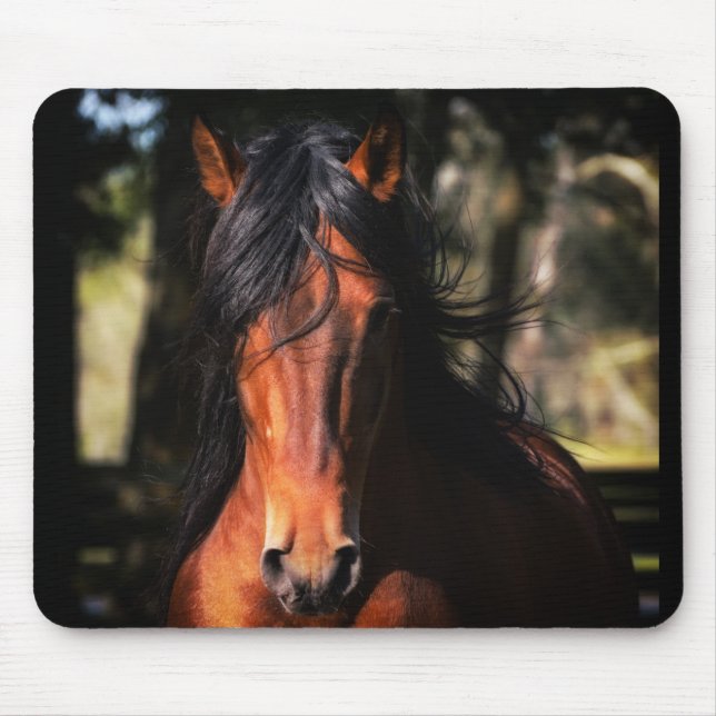 Tapis De Souris Tir principal d'Indico VII (Devant)