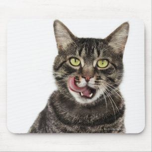 Tapis De Souris Tir principal d'un lèchement domestique masculin