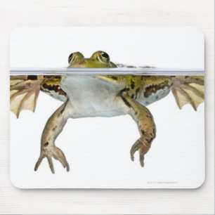 Tapis De Souris Tiré d'une grenouille comestible apprêtant devan