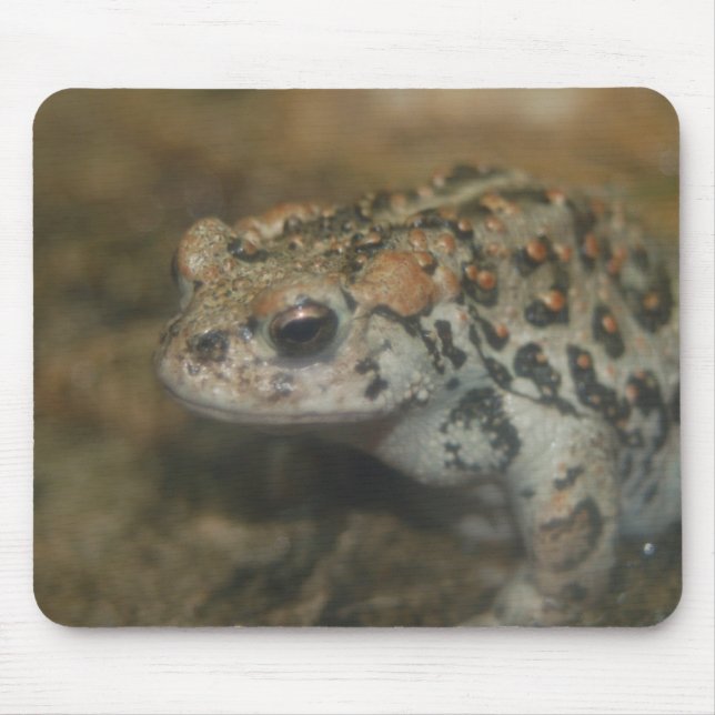 Tapis De Souris Toad Mousepad (Devant)