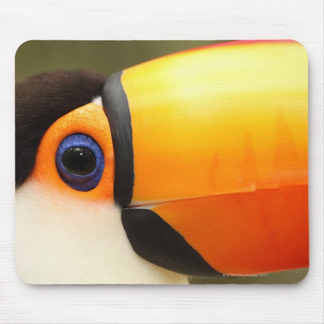 Tapis De Souris Toco Toucan (Ramphastos toco) est le plus grand (Devant)