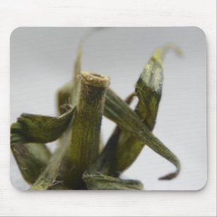 Tapis De Souris Tomate