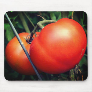 Tapis De Souris Tomates Rouges Ripe Sur La Vigne Nature