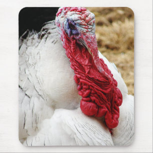 Tapis De Souris Tommy