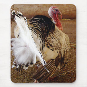 Tapis De Souris Tommy