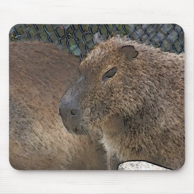 Tapis De Souris toony capibarah (Devant)