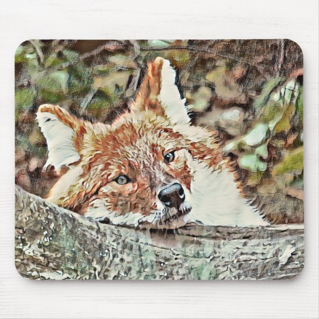 Tapis De Souris Toony Fox (Devant)