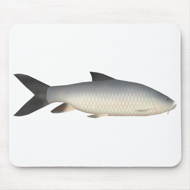 Tapis De Souris Tor Mahseer (Devant)